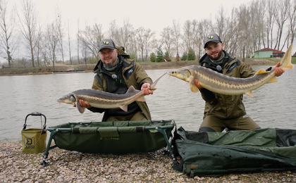 Delphin QUIX METHOD FEEDER – 2ª parte  Canne e attrezzatura abbinata