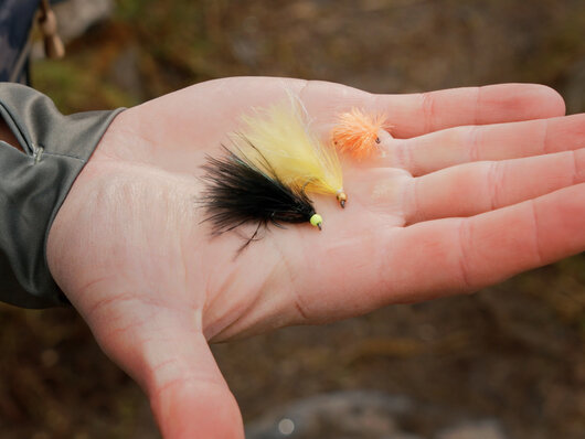 Lot de mouches delphin fly / 10 pcs | pond trout - 101006110_9