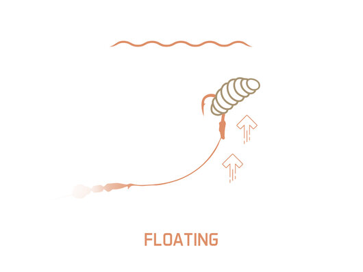 Appât artificiel delphin maggox pop up / crevette - 101005772_2