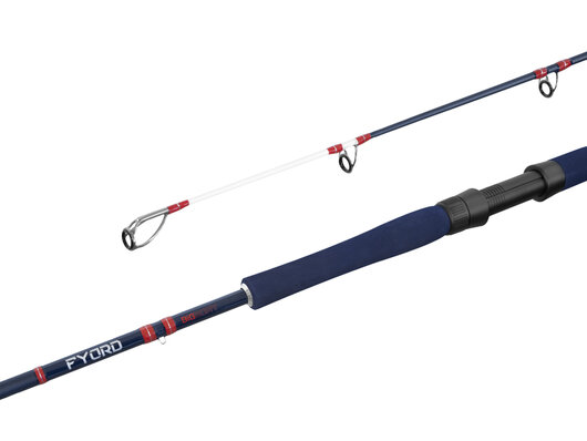 Delphin fyord bigboat - 101005779