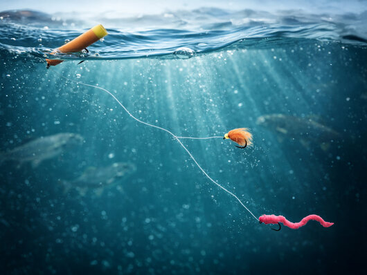 Lot de mouches delphin fly / 10 pcs | bung trout - 101006112_7