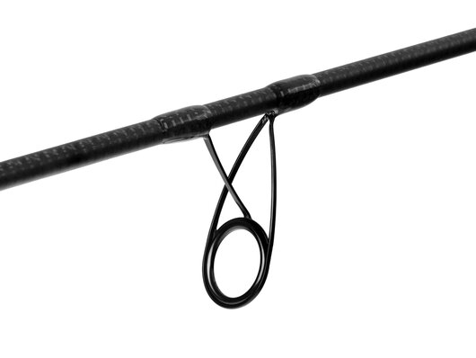 Delphin stingray - 101006681_4