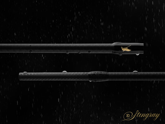 Delphin stingray - 101006681_8