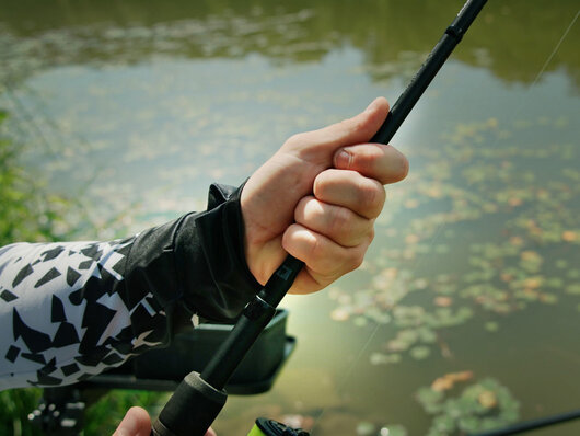 Delphin xtenz - 101005798_93