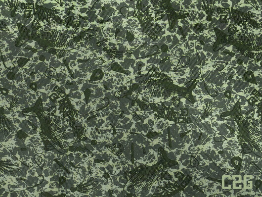 Ľadvinka Delphin Townz SPACE C2G