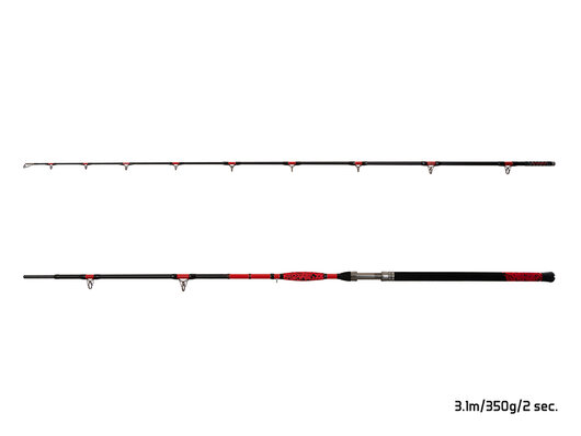 Delphin DANGER CatFISH | 255cm/350g/2diely