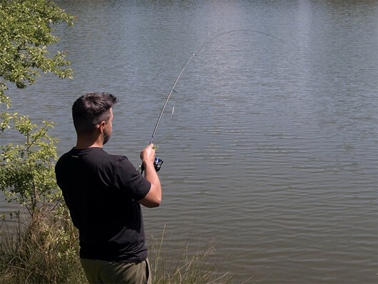 Delphin GraphiX 24T | 185cm/0.5-5g/2 diely