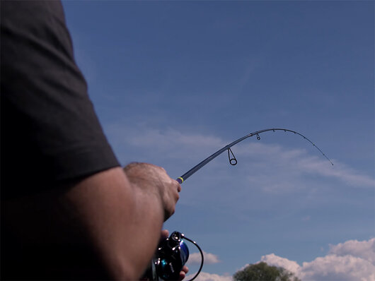 Delphin GraphiX IT 24T | 185cm/0.5-5g/2 diely