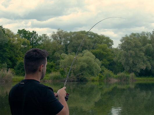 Delphin ContaX IT 30T | 185cm/0.5-5g/2 diely