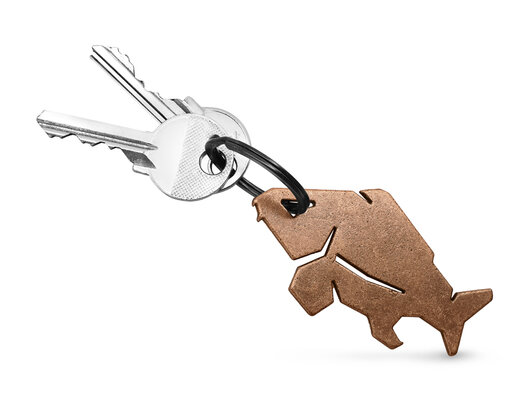 Kľúčenka s otváračom na fľaše Delphin CARPENER | bronzová