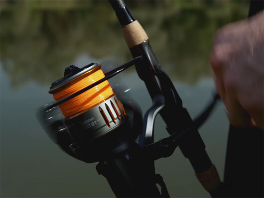 Delphin BINGO 5T DP | veľ.5000