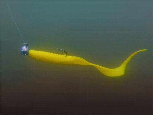 Jigová hlava s držiakom Delphin TYRE / 5ks