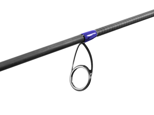 Delphin HOAX / 1 diel