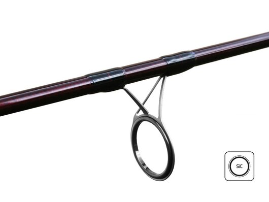 ETNA CARP next generation / 2 diely