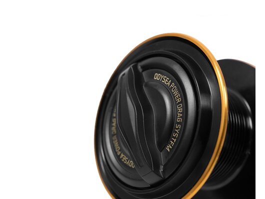 Delphin ODYSEA | veľ.10000