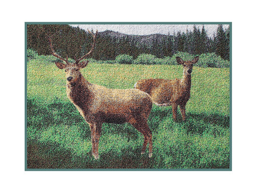Rohož 3D jeleň a srna