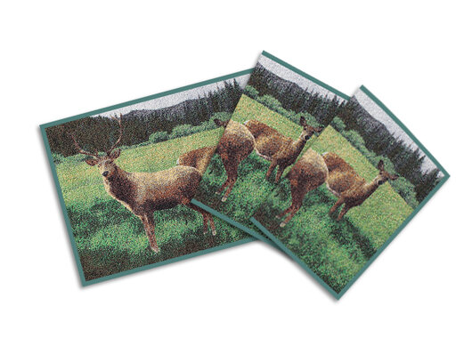 Rohož 3D jeleň a srna