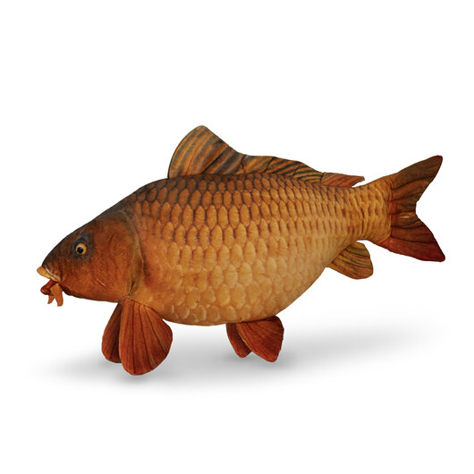 Peluche carpe delphin carpy - 101006075
