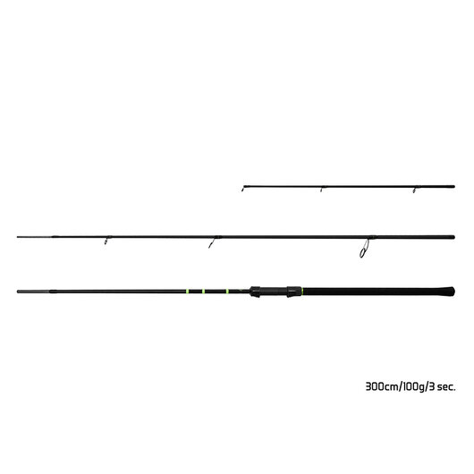 Delphin FEEDERA + 2 špičky | 300cm/100g/3diely