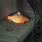 Peluche carpe delphin carpy - 101006075_2
