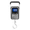Delphin scalo 60 - 101007060