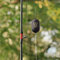 Lead-free sinker delphin ecocatf roll rubber - 101006517_4