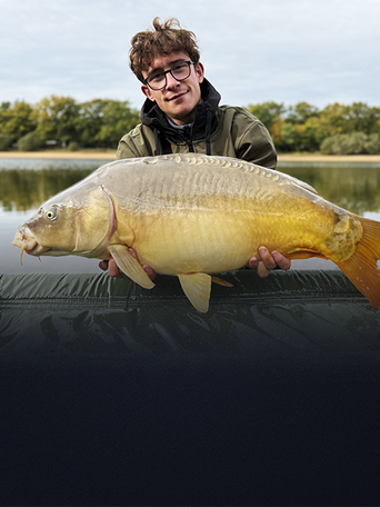 Unisciti al team Delphin