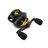 Mulinelli baitcasting