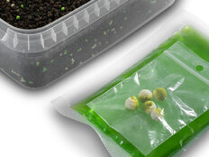 Pellet box Delphin Reaxe READY&GO | Aglio-Butirrico / 400g+120ml booster+10mm wafters