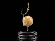 Booster Delphin BreaX/NutCAKE | Tiger Nut-Scopex-Mais dolce/250ml