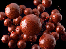 Boilies in dip Delphin BreaX/SweetBERRY