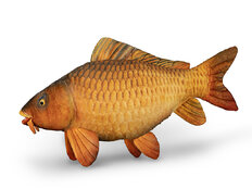 Carpa di peluche Delphin CARPY  | 60 cm