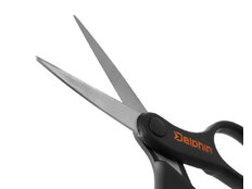 Forbici Delphin BRAIDY