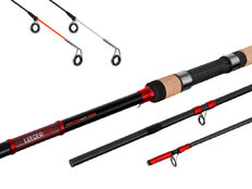 Delphin LEEDER Feeder + 2 punte 