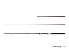 Delphin LEEDER Feeder + 2 punte 