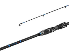 Delphin EXTAZA 24T 