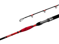 Delphin DANGER CatFISH 