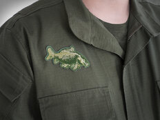 Toppe Delphin CARP