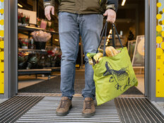 Borsa per la spesa Delphin ShopBAG CARP 