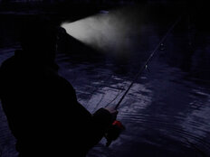 Cappellino invernale LED Delphin OutLINE Camo  | UNI