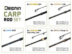 Set canne Delphin CARP