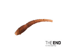 Piastra per capelli WORMER THE END / 6 pezzi  | G-ROUND