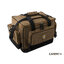 Area Carpatica CARRY