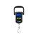 Bilancia digitale Delphin XILO 50