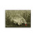 Tappetino Delphin CatchME! CARPA I 60x40cm